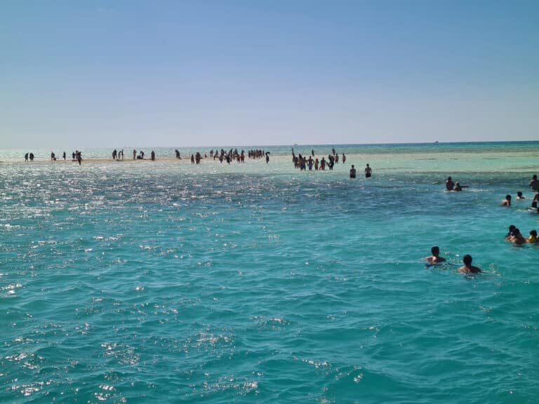 img-20240221-wa0038