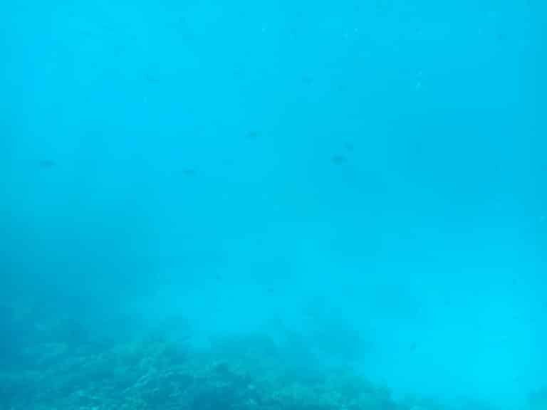 img-464c7693084e752e2a8f0c7564a5a2b3-v