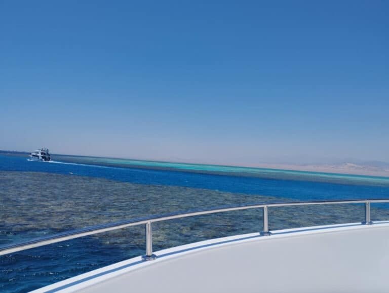 img-20240719-wa0031