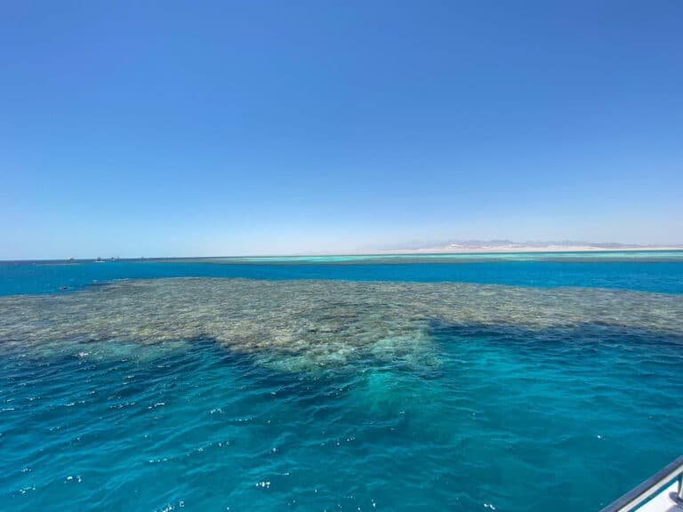 img-20240719-wa0032