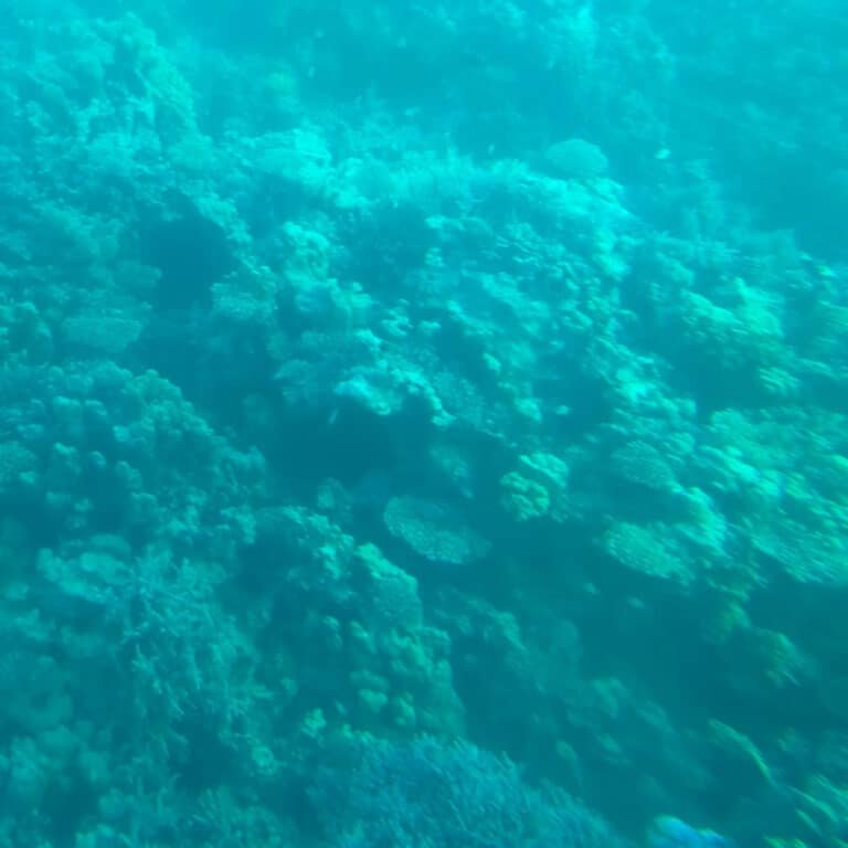 IMG-20241107-WA0027