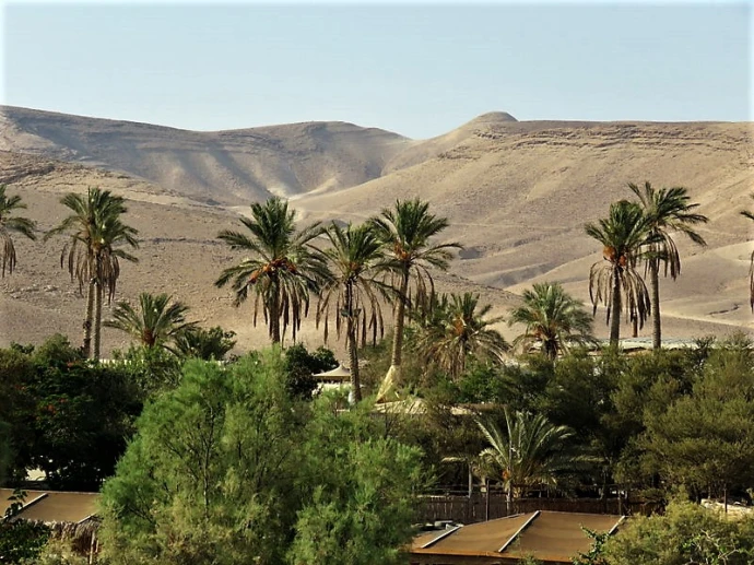 Настоящий оазис, каньоны и бедуинская семья