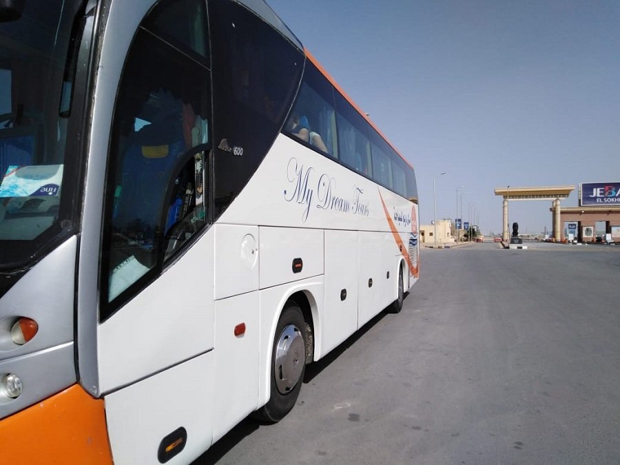 Каир и Александрия из Шарма (автобус) 2 дня