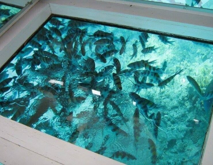 441900409_417459737786726_5958613729234675795_n