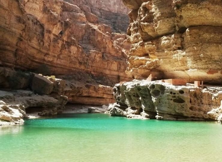 88228589_215329769853860_4978029097935437824_o