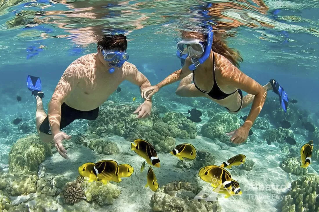 Шарм-Эль-Нага – коралловый заповедник в Сома-Бей